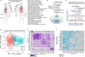 Predicting Tumor Outcome: Unveiling the Pan-Cancer Epigenetic Factor Landscape