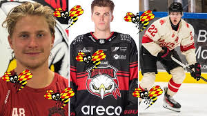Expressen - News update