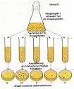 Präadaptation - Lexikon der Biologie