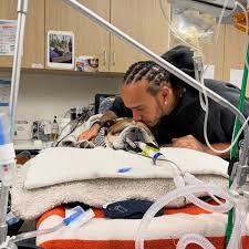 Roscoe, il cane di Lewis Hamilton