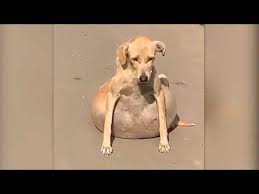Universal Knowledge - YouTube