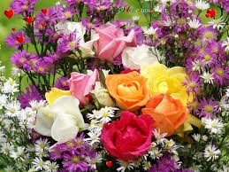 Rsultat de recherche d'images pour "BELLES ROSES"