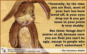 VelveteenRabbit.png (1202×745) | Quotes | Pinterest | Rabbit, Book ... via Relatably.com