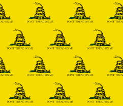 Image result for gadsden flag