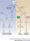 02.<a name='more'></a> Dezember 20HIV-, Syphilis-, Hepatitis B- und C-Testaktion in