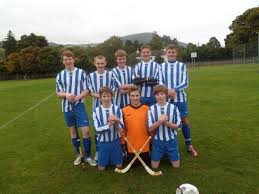 Résultat de recherche d'images pour "shinty"