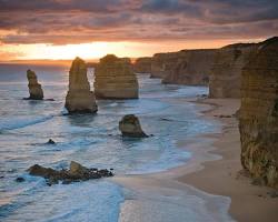 Port Campbell National Park, Victoria, Australia, wildlife sanctuary
