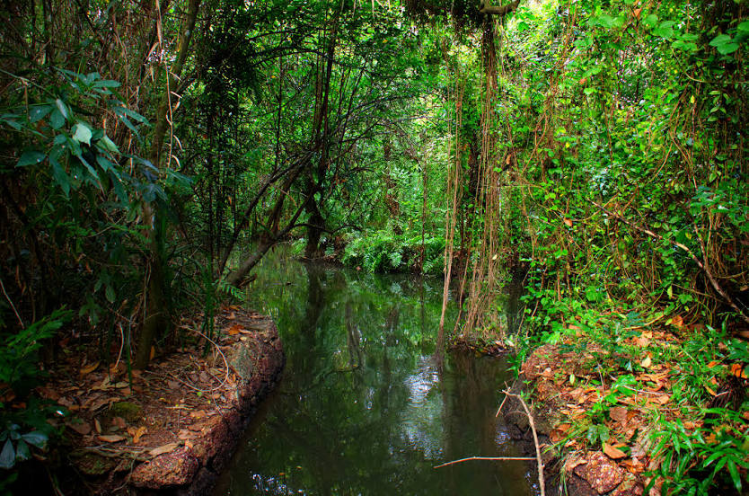 Kumarakom Bird Sanctuary 