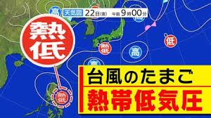 TBS NEWS DIG - News update