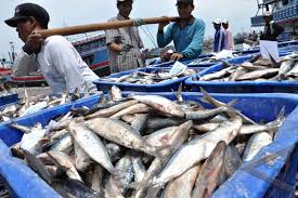 Hasil carian imej untuk nelayan malaysia
