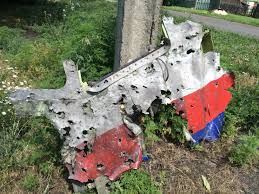 Image result for mh17 30mm bullet holes