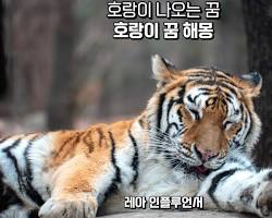 호랑이 이미지