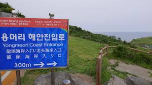 Image result for yongmeori jeju