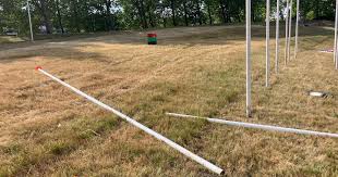 De Gelderlander - News update