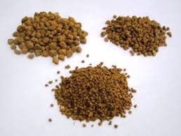 「Kanuma soil」の画像検索結果