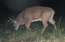 external image images?q=tbn:ANd9GcSXqYykj2PArGONCR-rU4QobPepymscz6YBRTAj4MtUP009Cx7NPg