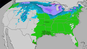 Thanksgiving Travelers Face a Wild Mix of Snow Rain and Strong Winds