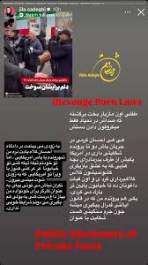 ژیلا صادقی حکم اخراج احسان کرمی از آمریکا را صادر کرد