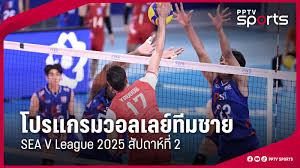 pptvhd36.com - News update