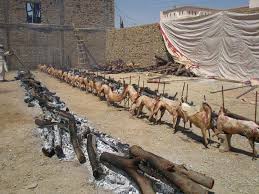 Image result for Balochistan Culture