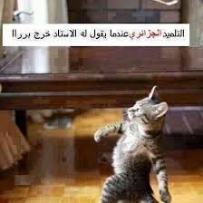 صورة ذات صلة