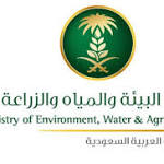 إنفلونزا الطيور تُغلق سوق «العزيزية»