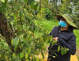 Báo Tuổi Trẻ - News update