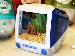 Résultat de recherche d'images pour "mac aquarium"