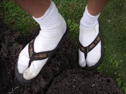 Résultat de recherche d'images pour "socks with sandals men"