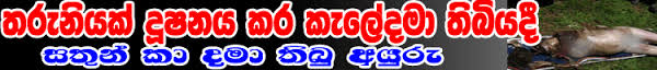 Image result for gossip news sinhala