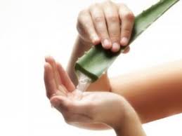 aloe vera yağı ile ilgili görsel sonucu