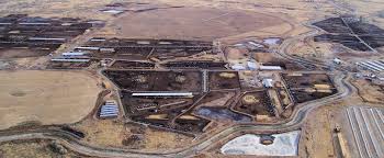 Image result for cafo