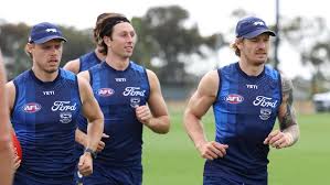 News source: geelongcats.com.au