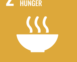 Εικόνα Zero Hunger SDG icon