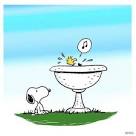 Virtual villagers 2 parrots singing and talking snoopy <?=substr(md5('https://encrypted-tbn2.gstatic.com/images?q=tbn:ANd9GcSYsYZksC_9wWZCUdgAbUYs9I82aOsFxsTXKAROAYefsFV1nOuSewtqAypM'), 0, 7); ?>