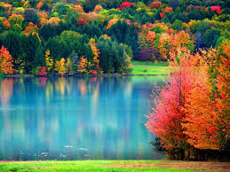 Image result for fall