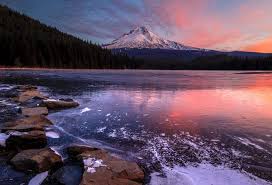 Oregon Wild - News update