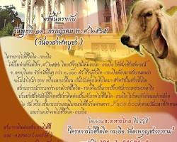 Image of วัดเทพกุญชรวราราม, ลพบุรี