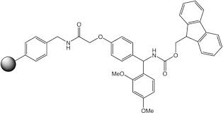 英和画像辞典：(amid)の関連画像一覧！