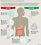 Microbiote intestinal, nouvel organe au potentiel extraordinaire - Inra
