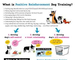 Positive reinforcement example dog treats