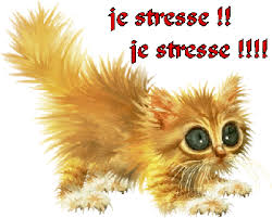 images?q=tbn:ANd9GcSZ7Z-56FFgmY1DVkIV3YjaW_clzUiR-Jj7zFmFzWmP2bZgI28q