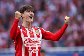 La “Hormiga” a ¿Brasil?