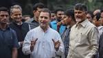 Andhra Chandrababu Naidu faces flak
