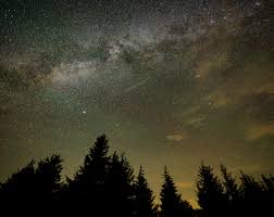 perseids