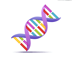 DNA