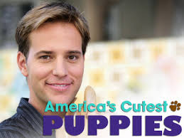 Allen Lee Haff. Retrieved from &quot;http://gameshows.wikia.com/wiki/America%27s_Cutest_Puppies?oldid=78844&quot; - Americas-cutest-puppies
