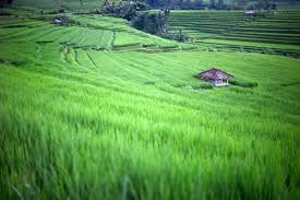 Image result for kumpulan gambar keindahan alam