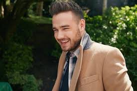 Hasil gambar untuk foto liam