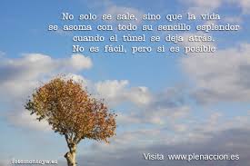 Resultado de imagen para imagenes de mindfulness